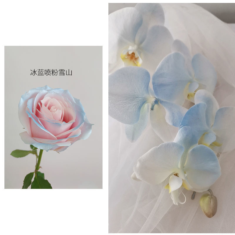 MSDS 350 밀리람베르트 꽃 펄색 스프레이, 꽃을 위한 양철 페인트 스프레이