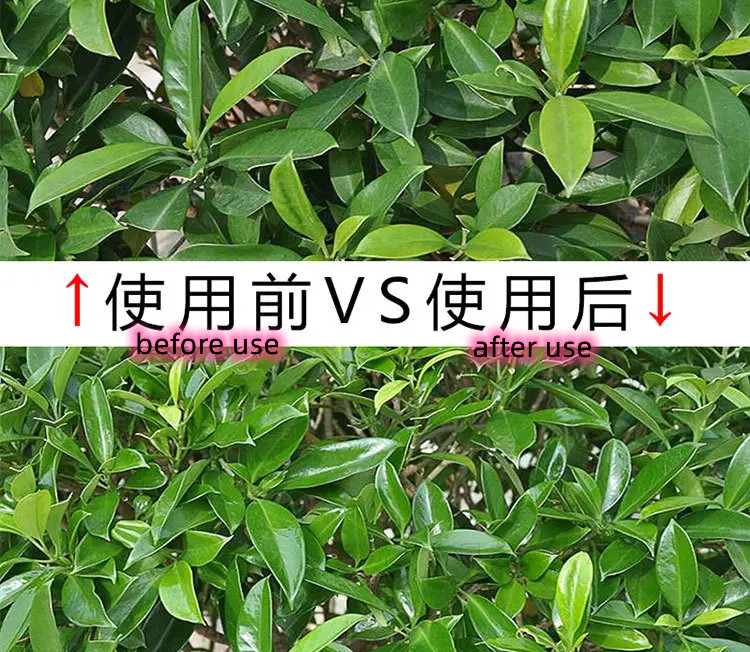 우호적인 멀티신 양철 잎 빛 스프레이 녹색병 색 Eco