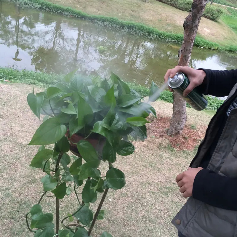 우호적인 멀티신 양철 잎 빛 스프레이 녹색병 색 Eco